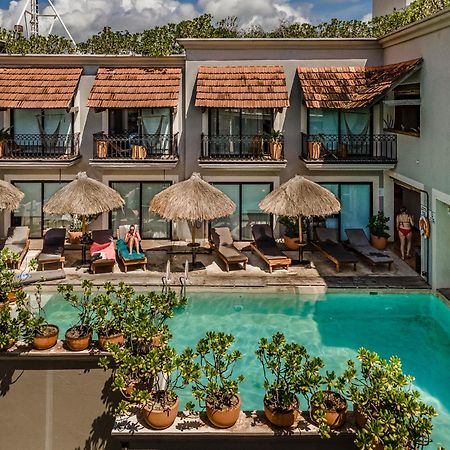 Caribbean Paradise Hotel & Spa - 5Th Avenue بلايا ديل كارمن المظهر الخارجي الصورة