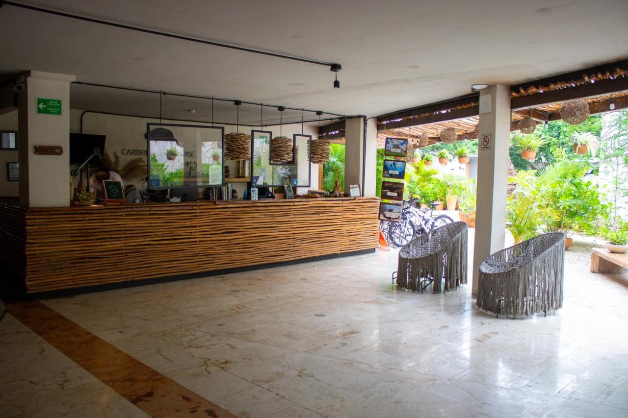 Caribbean Paradise Hotel & Spa - 5Th Avenue بلايا ديل كارمن المظهر الخارجي الصورة