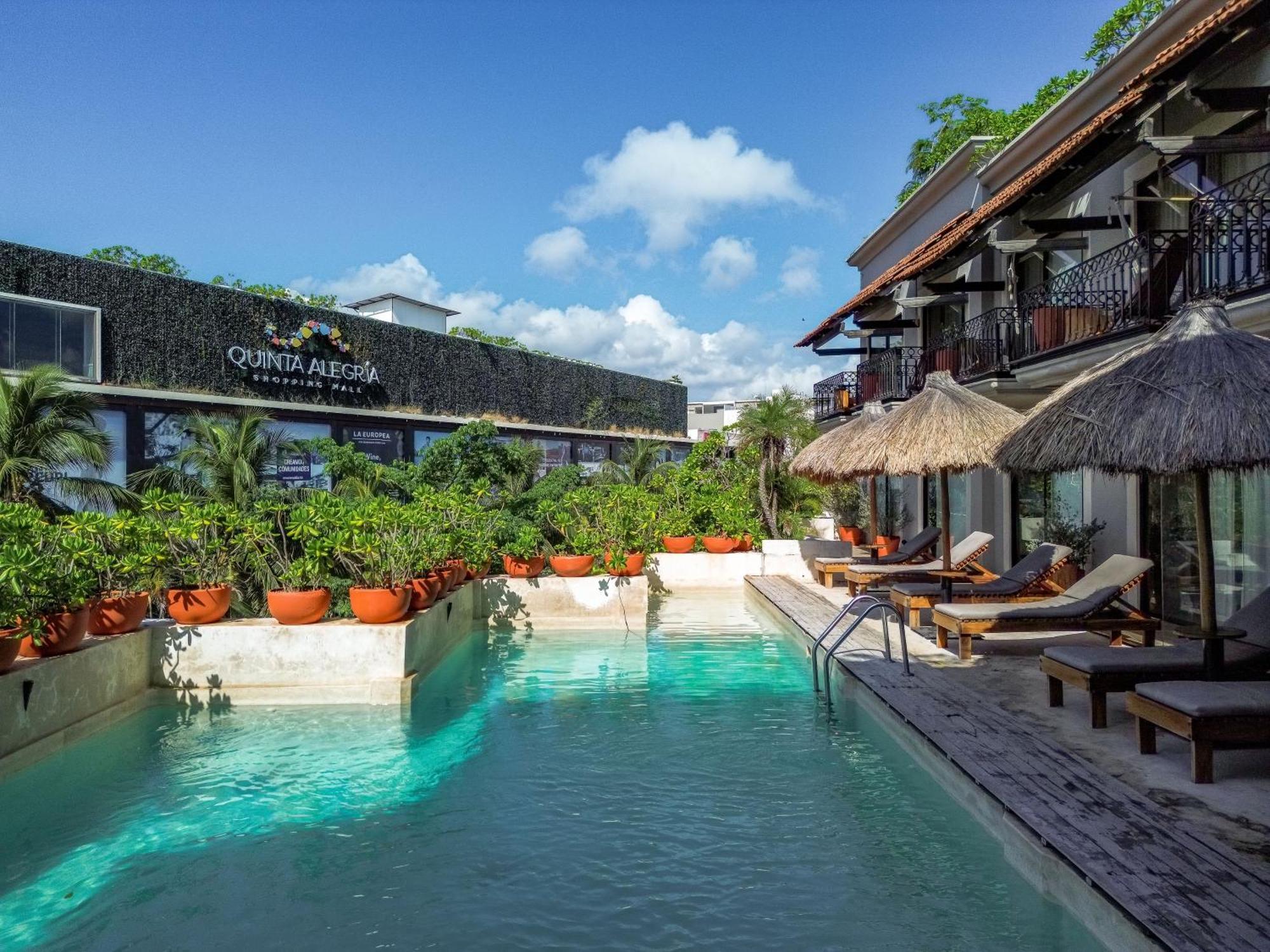 Caribbean Paradise Hotel & Spa - 5Th Avenue بلايا ديل كارمن المظهر الخارجي الصورة