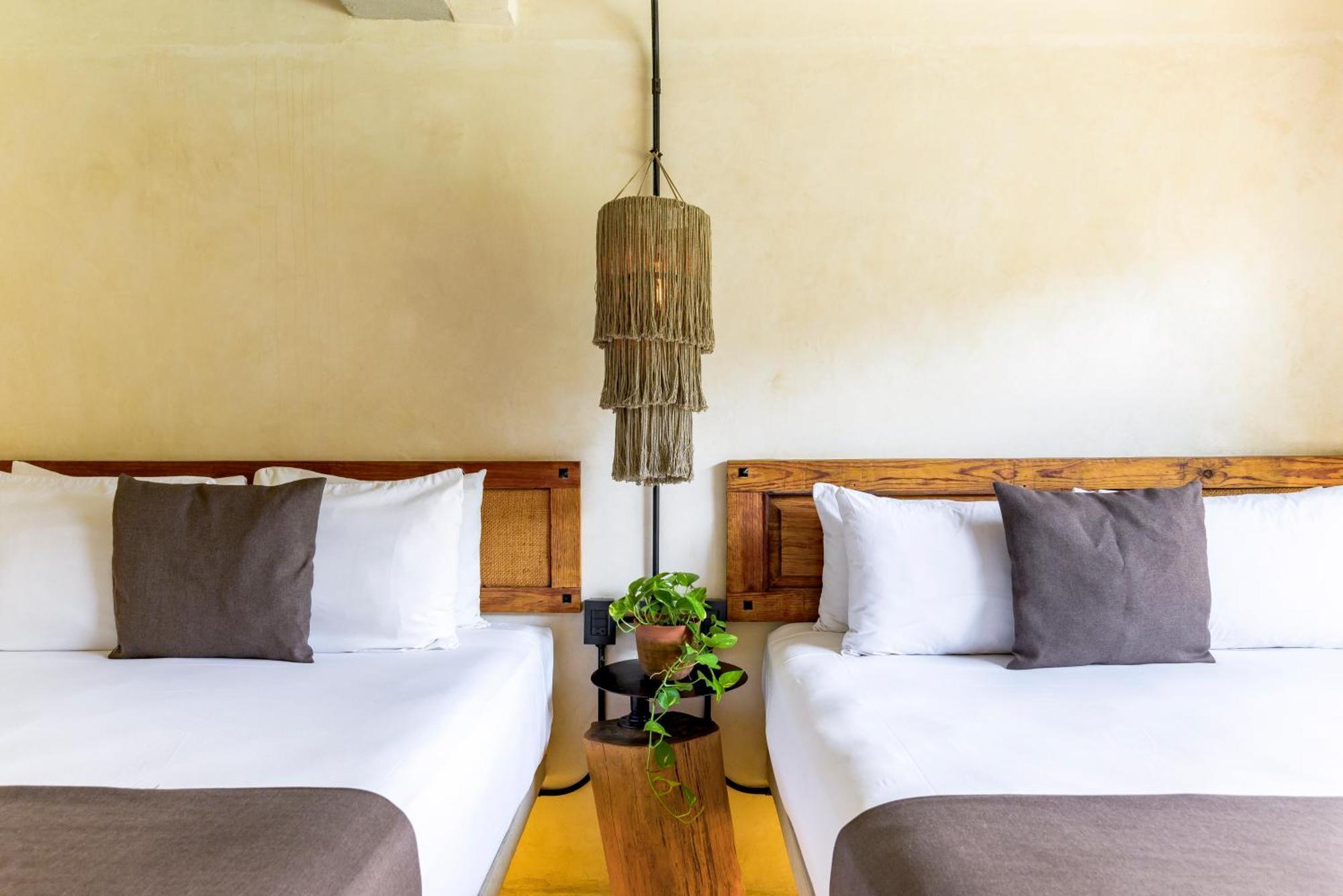 Caribbean Paradise Hotel & Spa - 5Th Avenue بلايا ديل كارمن المظهر الخارجي الصورة